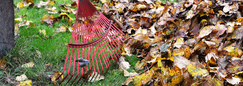 gazon onderhoud najaar