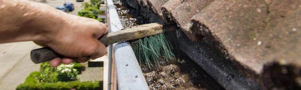 verstopte dakgoot voorkomen