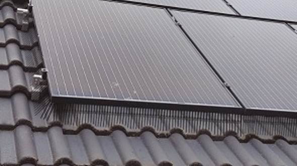 vogelwering zonnepanelen