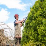 Tuin laten onderhouden